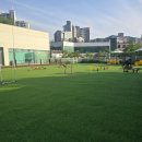 힐링PC ZONE | 넓은 천연잔디 운동장과 알찬 실내 시설, 천안 애견카페 '펫프닝타운' 대만족 방문 후기! 🐾