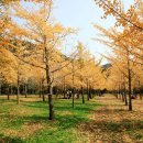 은행약수터 이미지