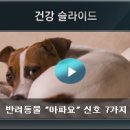 안상수동물병원 이미지