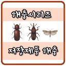 구립은강어린이집 | 저장제품해충 곡물해충방제전문 방역소독전문 곡물바구미가루좀벌레열대창고나방