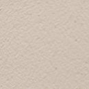 베네치안 이미지