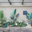 슈바이처도르프호텔 이미지