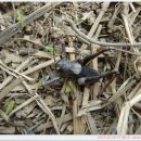 가서농장 이미지