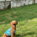 젤리뽀개린이집 이미지