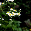 펜션 노트북 이미지