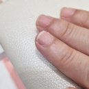 카모밀레 네일 | [카모밀레네일샵 첫 방문 후기] 네일 맛집 네일샵을 찾다..!
