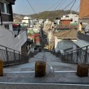 강서구-20 이미지