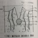 COMB(콤브)