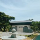 하동포구공원 | 섬진강트레킹 후기!(하동송림공원-하동포구공원) 거대한 소나무와 바다같은 강줄기 따라 걷기