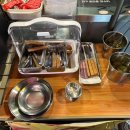 디지스도그 이미지