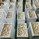 석성농장 이미지