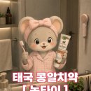 [소소한 하루] 태국 쇼핑리스트 | 녹타이 콩알치약 후기 | Big C 구매