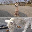 비둘기미용실 이미지