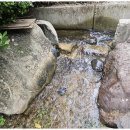 숲속 아지트 이미지