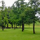 성내천공원 이미지