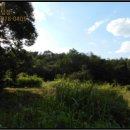 대산리축사 이미지