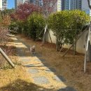 국수락 네이버블로그
