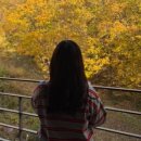 나인 게임장 이미지