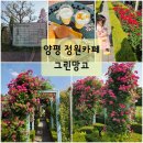 양평그린클로버 | 양평 카페/계절별로 바뀌는 꽃 정원 양평 그린망고 장미터널