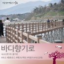 05/13(일) 속초 바다향기로 트레킹 + 설악비선대 19,800원 이미지