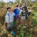 해림초등학교 이미지