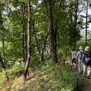 원주굽이길 17코스 동화마을진달래길 이미지