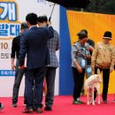 진도 제28회 대한민국 우수진도개 선발대회 대상수상사진 관내.관외 성션 암수조 이미지