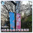 동호푸드 | 2025 석촌호수 벚꽃축제 - 서울 축제후기 4월 3일 실시간 벚꽃 개화상황