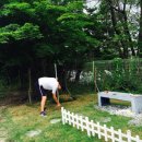 김휘규 카카오 검색결과