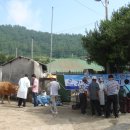 이동가축병원 이미지