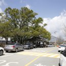 나무그늘식당 이미지