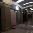 원천동 547-3 | 원천동 애견샵 미쁘dog 위치.가격.시간.후기