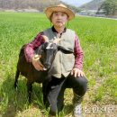 별이달이농원 이미지