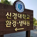 신경대학교