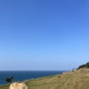세화여인숙 | 야너두 제주도 한달살기 할 수 있어! (뚜벅이 버스여행 꿀팁_숙박편)