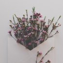 초보 온라인 셀러를 위한 단계별 TIPs
