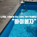봉자펜션 | 수영장 노천탕이 있는 원주 독채 펜션 하이봉자 애견 동반 가능