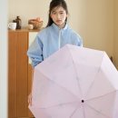 쉐누 이미지