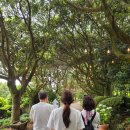 영빈횟집 | 5월 제주 가족여행 추천 및 후기-2일차 [협재해수욕장/제주광해 애월/오설록 티뮤지엄/카멜리아힐/영빈...