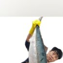 영남회마차 - 계룡시 엄사중앙로 66 | 영남회마차