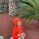 서유의섬 | 해외휴양지같은 제주풀빌라 , 감성숙소 서유의섬 내돈내산 후기