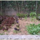 천안모두펜션 이미지