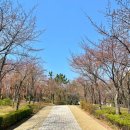 가좌이음숲 이미지