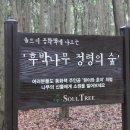 솔트리수목원 이미지