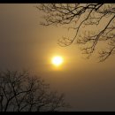 쌍둥이네흙집 이미지