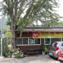 평지못(1) 이미지