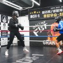 일산Box-1복싱 네이버블로그