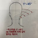 주희슈퍼 | [250319 - 카이정헤어 본사 교육] 블런트 마스터 1레벨 D반 4회차 수업 후기 - AB라인 커트✂️❤️