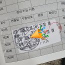 콜리네분식 | W14 라 쓰고 붓산이라 읽는다