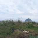 상모리-28 이미지